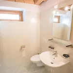 Diffuso - Cjasa Ustin-2 By Interhome Barcis